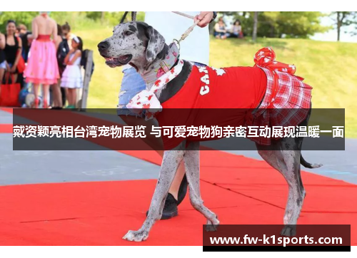 戴资颖亮相台湾宠物展览 与可爱宠物狗亲密互动展现温暖一面 戴资颖亮相台湾宠物展览 与可爱宠物狗亲密互动展现温暖一面