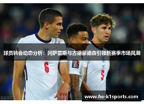 球员转会动态分析：冈萨雷斯与古德蒙德森引领新赛季市场风潮