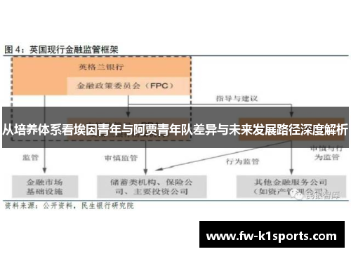 从培养体系看埃因青年与阿贾青年队差异与未来发展路径深度解析 从培养体系看埃因青年与阿贾青年队差异与未来发展路径深度解析