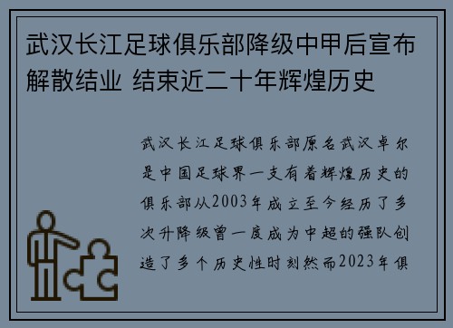 武汉长江足球俱乐部降级中甲后宣布解散结业 结束近二十年辉煌历史 武汉长江足球俱乐部降级中甲后宣布解散结业 结束近二十年辉煌历史
